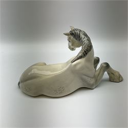 Beswick dapple grey Shire horse lying down model no 2459, with printed mark beneath. 