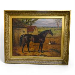 Harry Hall (British 1815-1882): 'Adventurer' a Dark Bay Racehorse Standing in a Farmyard, oil on canvas signed and dated 1882, 70cm x 90cm
Notes: Adventurer was one of Newminster's sons and a well respected racehorse in the late 19th century; after retirement he became a successful stallion himself.