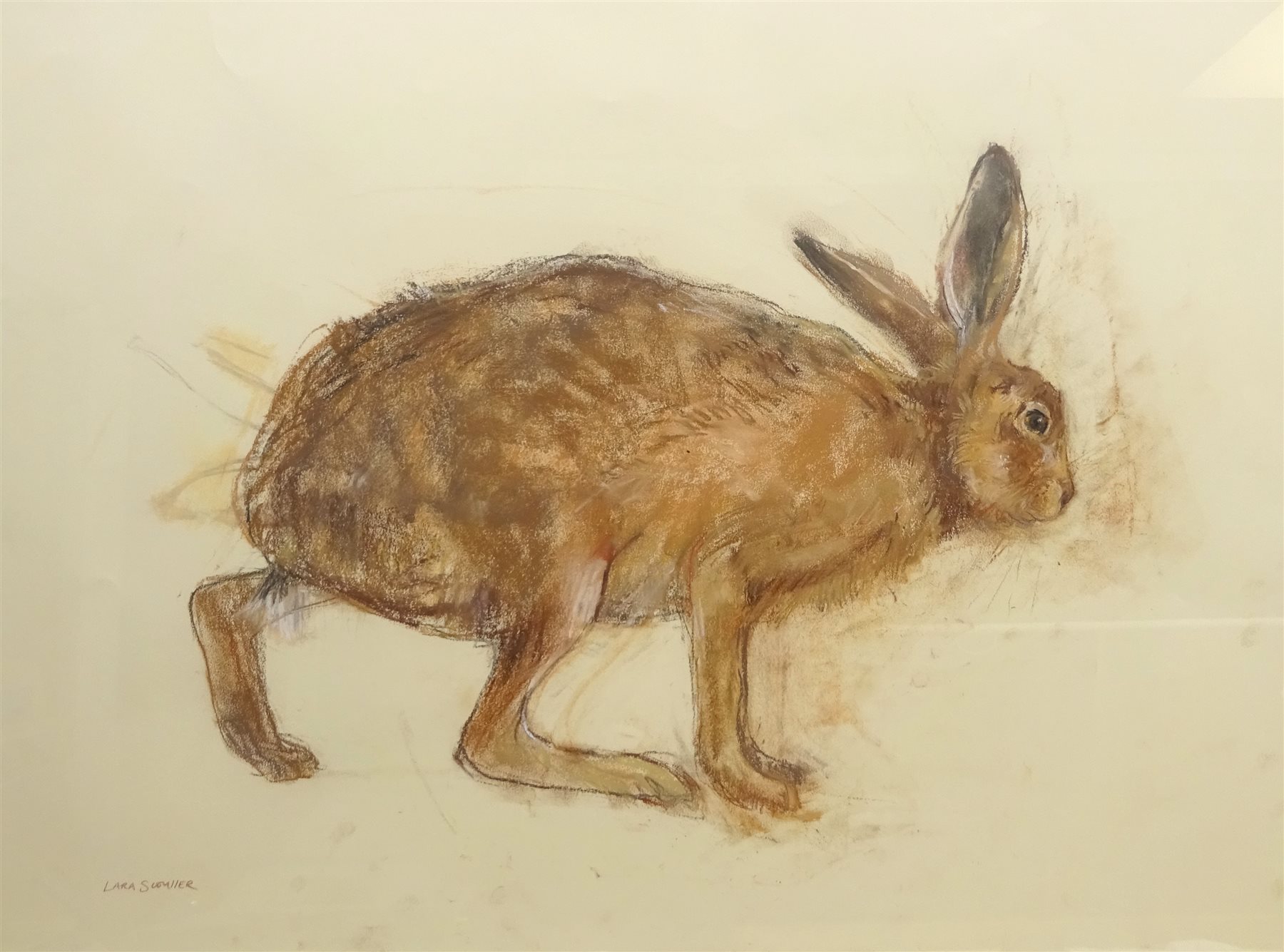Lara Scouller (British 1983-): 'Brown Hare', pastel signed, titled and dated 2015 on label verso 51cm x 71cm 
Provenance: with Panter & Hall, London, label verso