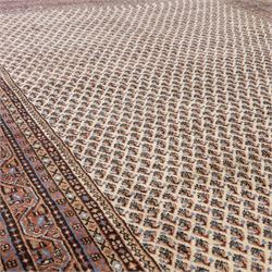 West Persian Botteh-Mir hand-knotted rug, ivory field decorated with an overall dense lattice design of small repeating boteh motifs in muted blue, rust, and brown tones, enclosed by a series of narrow borders incorporating stylized geometric and floral patterns with cotton fringe ends 