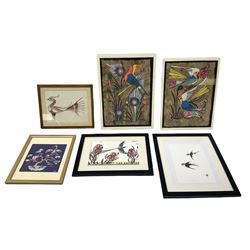 Mexican School (20th century): Birds of Paradise, pair Amate bark paintings together with four further pictures of birds max 31cm x 23cm (6)