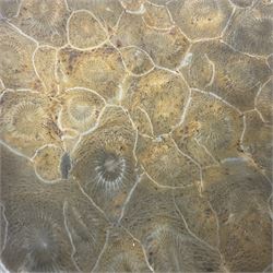 Fossilised coral dish in the form of a heart, D13cm