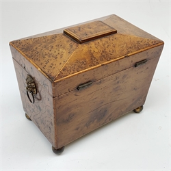 George III burr yew tea caddy, of sarcophagus form with lion mask ring handles and four brass ball feet, the hinged lid opening to reveal two compartments with cross-banded lids and traces of metallic paper lining, L19cm