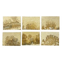 Six dendrite crystals each in an individual sandstone plaque, each plaque H6cm, L8cm