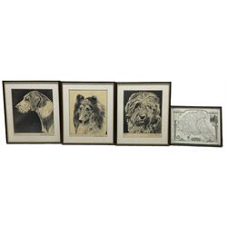 Franklin (British 20th century): 'Collie' 'Foxhound' and 'Old English Sheepdog', set three charcoal sketches together with 19th century map of East Riding Yorkshire and large collection prints and pictures