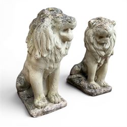 Pair of cast stone garden lions, seated on rectangular plinths