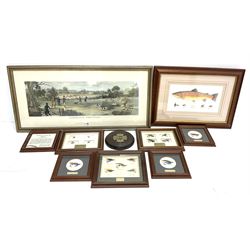 Framed and named reproduction fishing flies including 'Blue Doctor', 'Silver Wilkinson', 'Thunder & Lightening', 'The Spey Valley Collection', various other framed flies, a British Field Sports Society Golden Jubilee brass and wood plaque (possibly adapted from a horse brass) and a framed hand-coloured lithograph titled 'Partridge Shooting.'