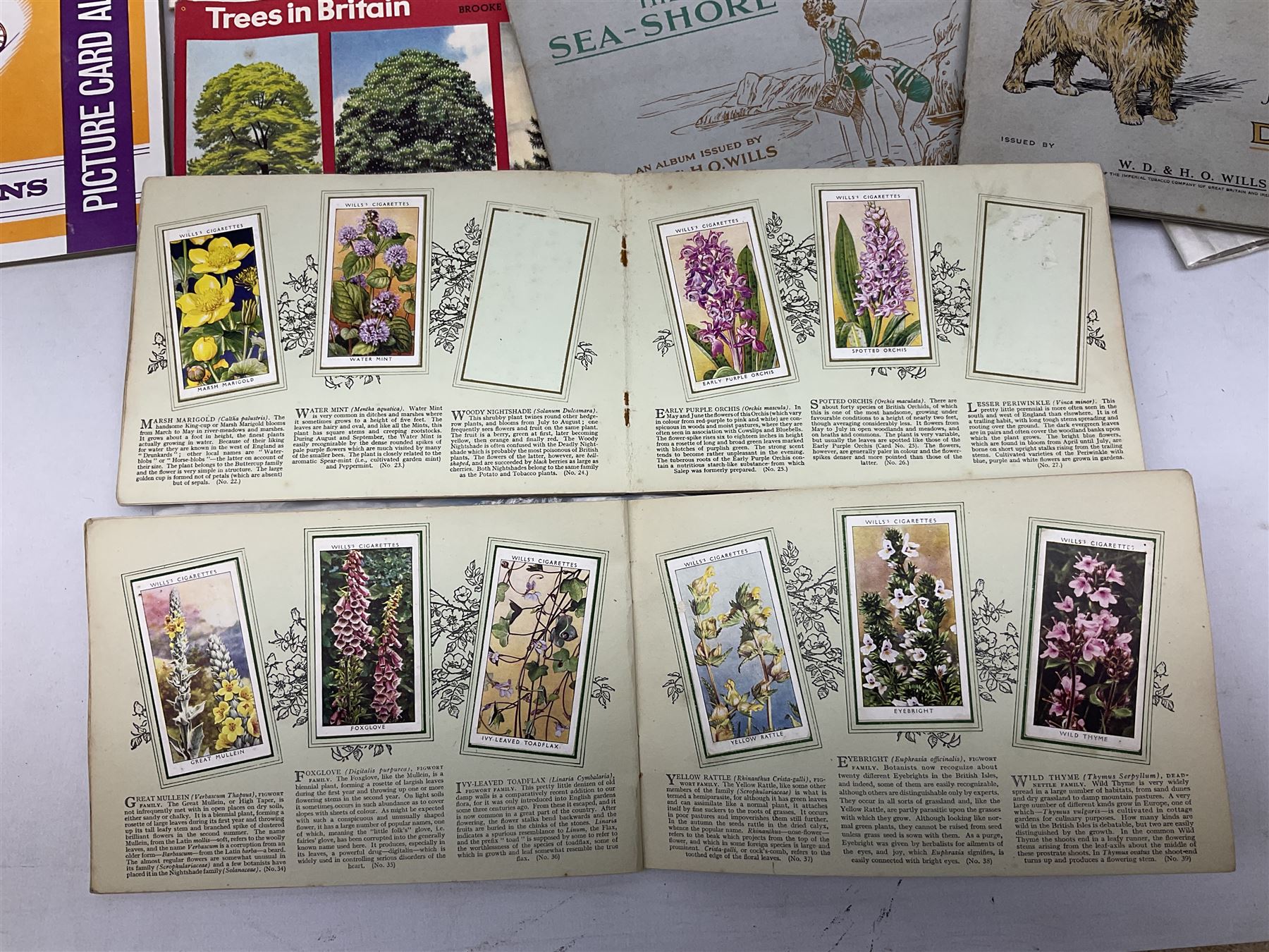 Collection of cigarette cards and other ephemera | Books, Manuscripts &  Ephemera