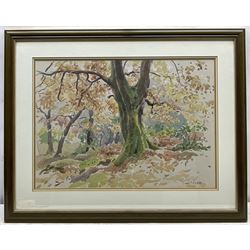 John Fielder (British 1960-): The Forest and the Hills, four watercolours signed max 36cm x 51cm (4)