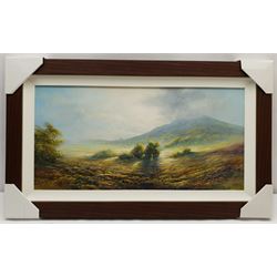 Mike Nance (British Contemporary): Morning Mist, oil on board signed 30cm x 60cm