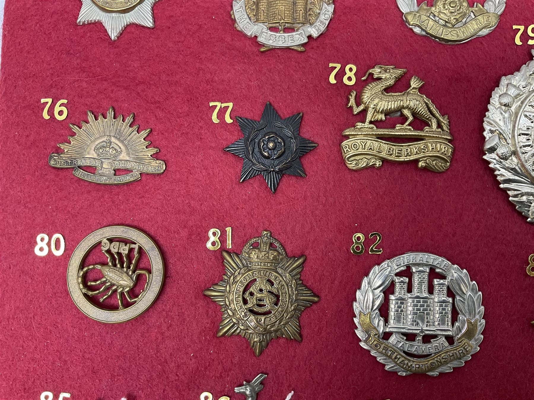 Twenty-two glengarry and cap badges including Argyll & Sutherland, Devonshire, Essex, Hampshire, Royal Berkshire, Northamptonshire, Long Range Desert Group, Royal Corps of Signals, Norfolk, Dorsetshire, East Lancashire etc; mounted on a board for display