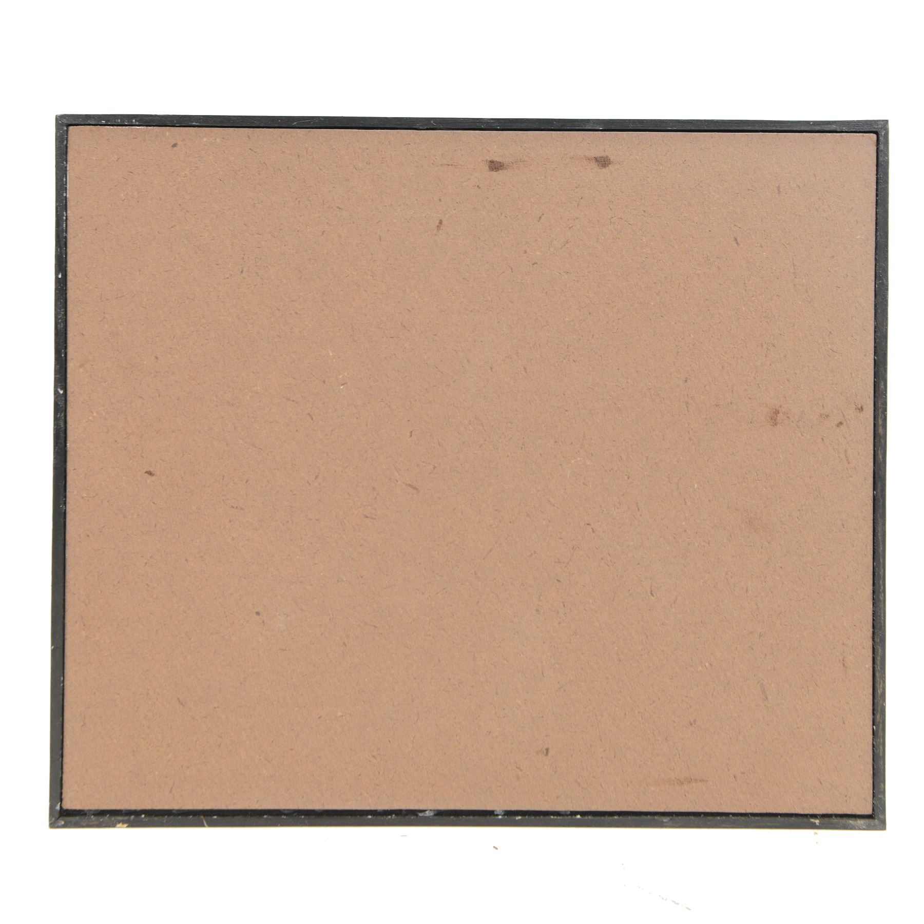 Entomology: Single glazed display Moths of the British Isles, circa 20th century, single glazed display containing twenty three specimens, including Privet Hawk, Eyed Hawk, Oleander Hawk, some with attached data labels, all pinned upon foam backing and named labels, enclosed within a glazed ebonised display case, H33cm, L38cm