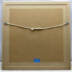 David Short (Nottingham 1940-): Tuscan Vineyards, two oils on board signed, 43cm x 43cm and 29cm x 59cm (2)