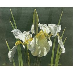 Sally Keir (British 1938-2007): 'Iris Versicolour', gouache signed with initials and titled 15cm x 19cm 
Provenance: purchased by the vendor in 1993