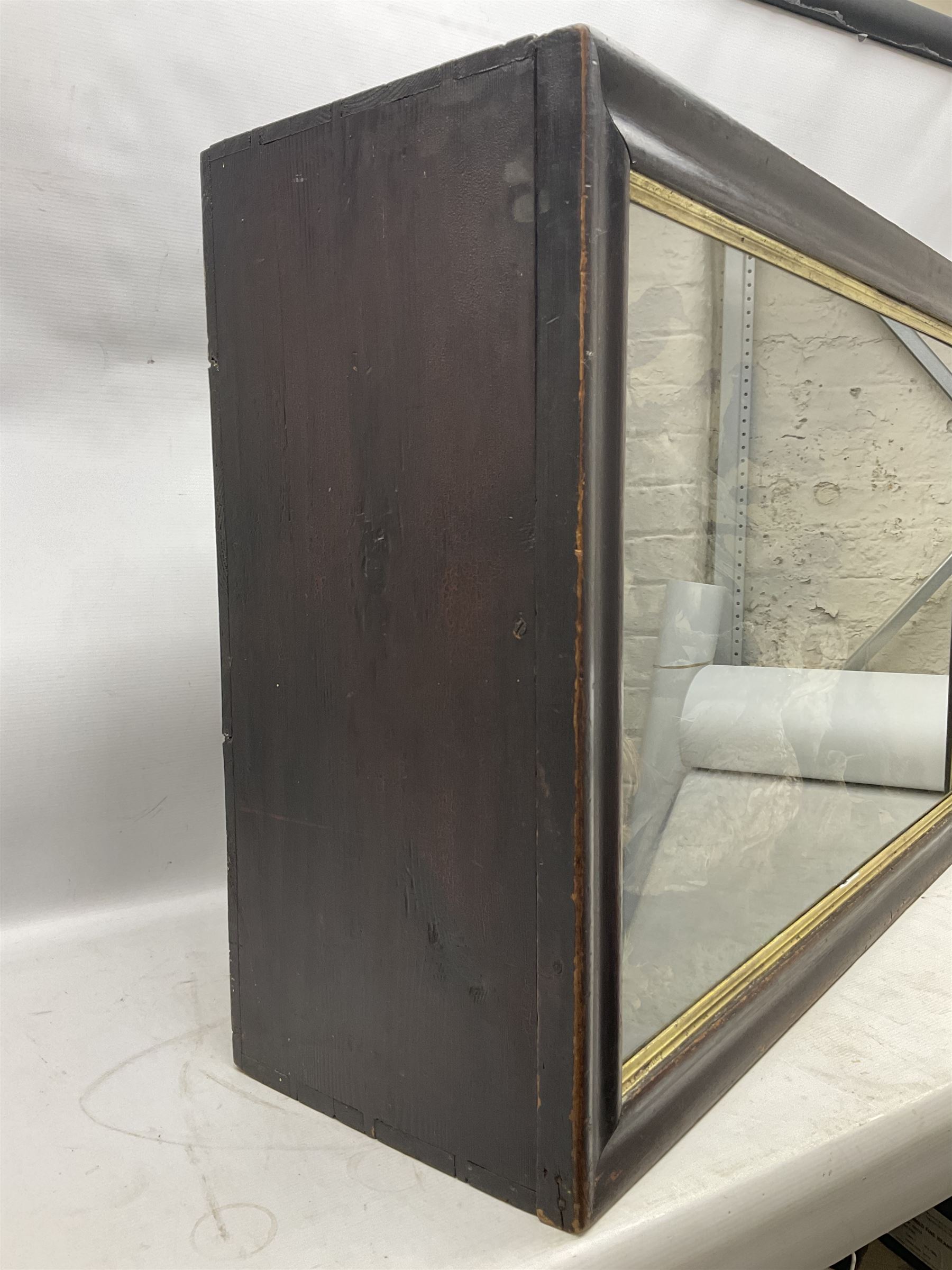 Taxidermy; cased bird diorama, to include Red-neck Pheasants (Phasianus colchicus) adult mounts hen and cock, Common Kestrel (Falco tinnunculus), Common Blackbird (Turdus merula), Starling (Sturnus vulgaris) and others,  in a naturalistic setting, encased within a single pane display case, H66cm, L97cm