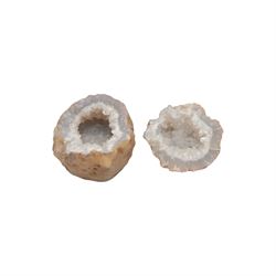 Collection of mineral and fossil specimens, including Trilobite in a matrix, shark tooth, ruby schist etc 