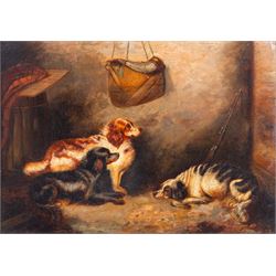 George Armfield (British 1808-1893): Three Sporting Dogs in an Interior, oil on canvas sig...