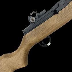 Springfield Armory M1A .22 cal. air rifl