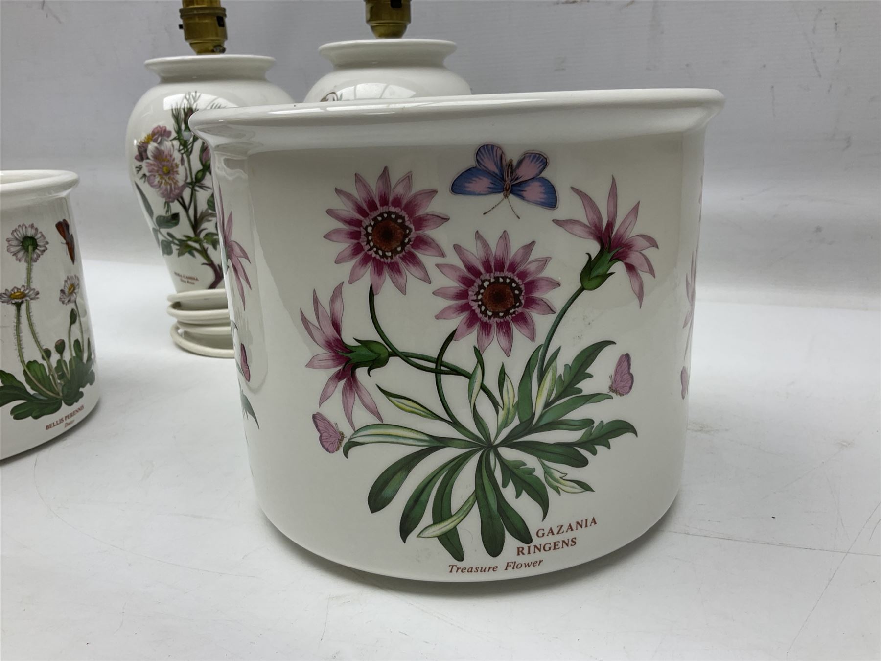 Two Portmeirion Botanic Garden table lamps, together with two Portmeirion Botanic Garden planters