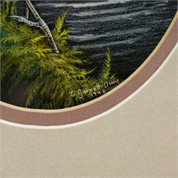 Liz Garnett Orme (British Contemporary): 'Grey Wagtail', gouache signed and dated 1992, 17cm x 13cm