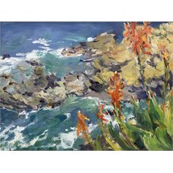 Catherine Tyler (British 1949-): 'Costa Brava', oil on canvas signed and dated '02, 24cm x 32cm 
Provenance: awarded the 2006 Chelsea Art Society Award for a Painting