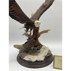 A large Country Artist limited edition figure, Spirit of Freedom 4023/1500, overall H45cm.