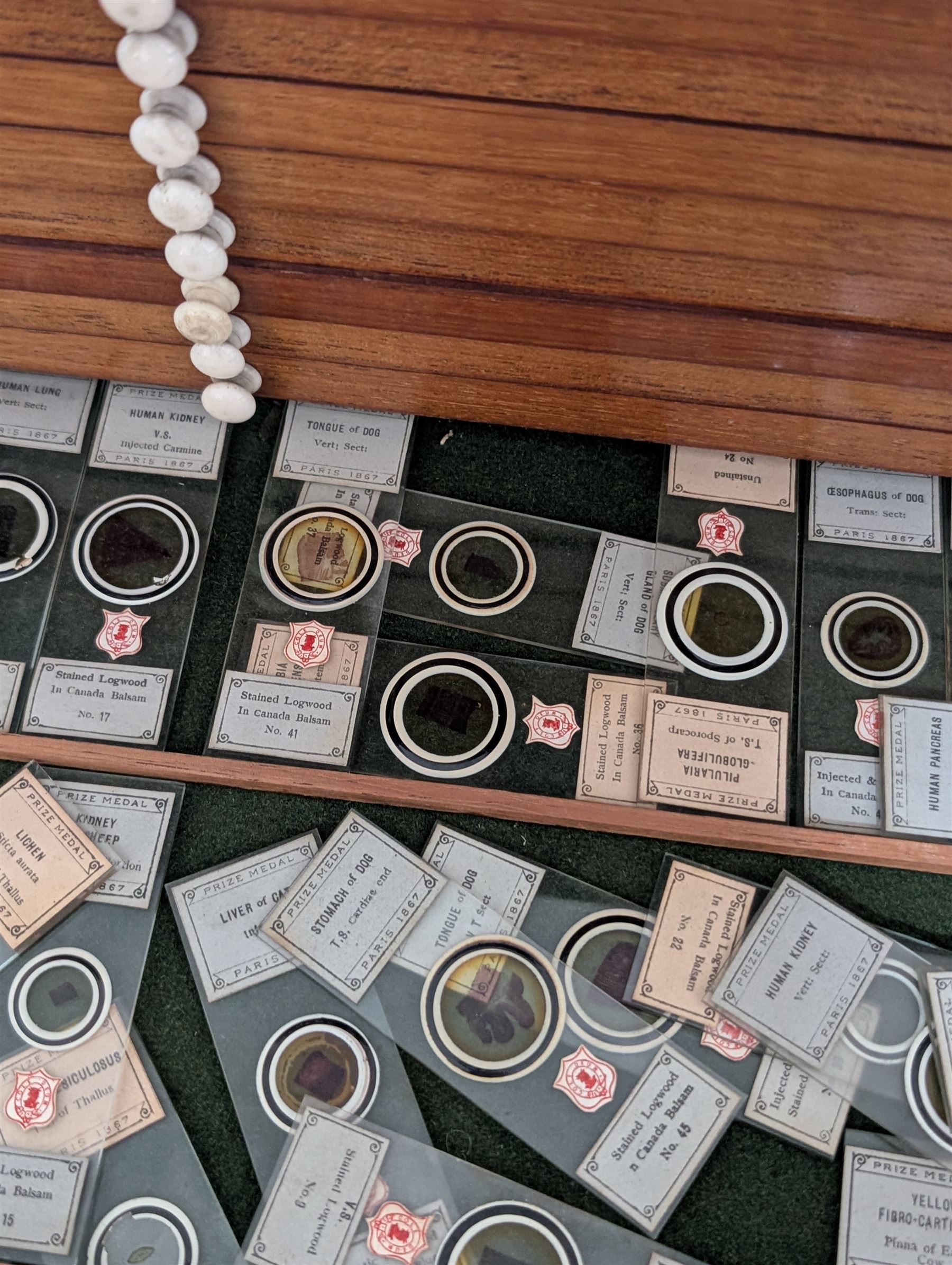 Victorian collector's specimen cabinet, containing a number of prepared microscope slides including miniature photographs, animal and human pathological, physiological and histological specimens and botanical specimens, mostly annotated in ink, the cabinet with glazed door, the drawers with bone handles and lined with green felt, owned by Dr Arthur Bristow, together with a picture of the doctor, cabinet H43cm