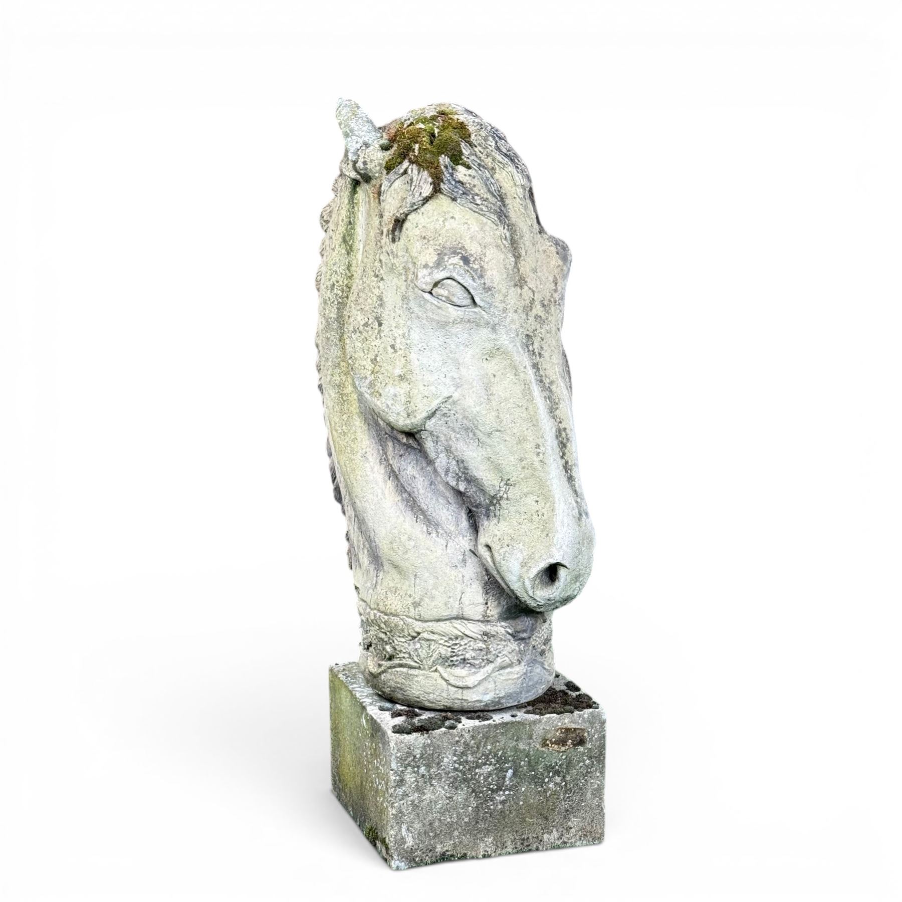 Large weathered cast stone horse head figure, raised on square plinth