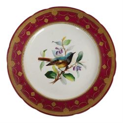 19th century Minton dessert plates, five decorated with a central ornithological study and four decorated with butterflied, each with within a red  and gilt board