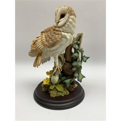 Country Artists ‘The Intruder’ by David Ivey limited edition model, along with ‘Barn Owl with Primroses’ model, with original boxes