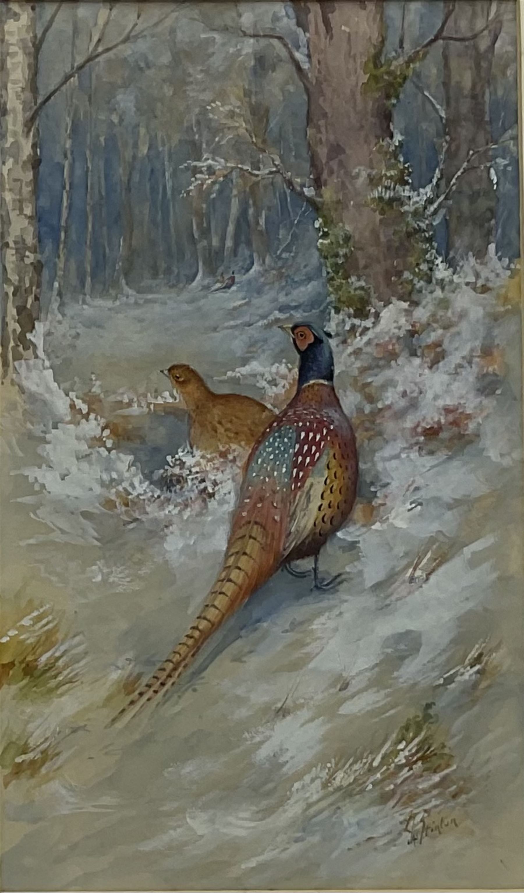 James Stinton (British 1870-1961): Pheasants and Grouse in Winter Landscapes, pair watercolours heightened in white signed 28cm x 16.5cm (2)