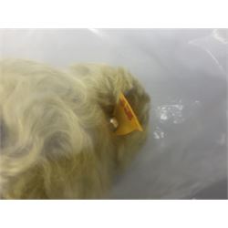 Modern Steiff 'Classic 1920 teddy bear' No.000737 with growler mechanism H35cm; unboxed but has labels