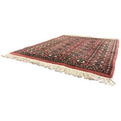Small peach ground Bokhara rug, decorated with two rows of Gul motifs 