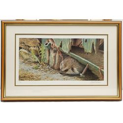 Robert E Fuller (British 1972-): 'Squirrel Nutkin', limited edition colour print signed and numbered 572/850 in pencil 34cm x 27cm; Andrew Hutchinson (British 1961-): Hedgehog, limited edition colour print signed and numbered 476/490 in pencil 22cm x 44cm (2)