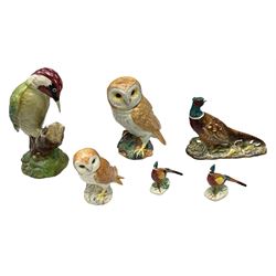 Six Beswick bird figures comprising large barn owl no.1046, small barn owl no.2026, woodpecker no.1218, pheasant no. 1226b and two small pheasants no.767a, tallest H22cm  