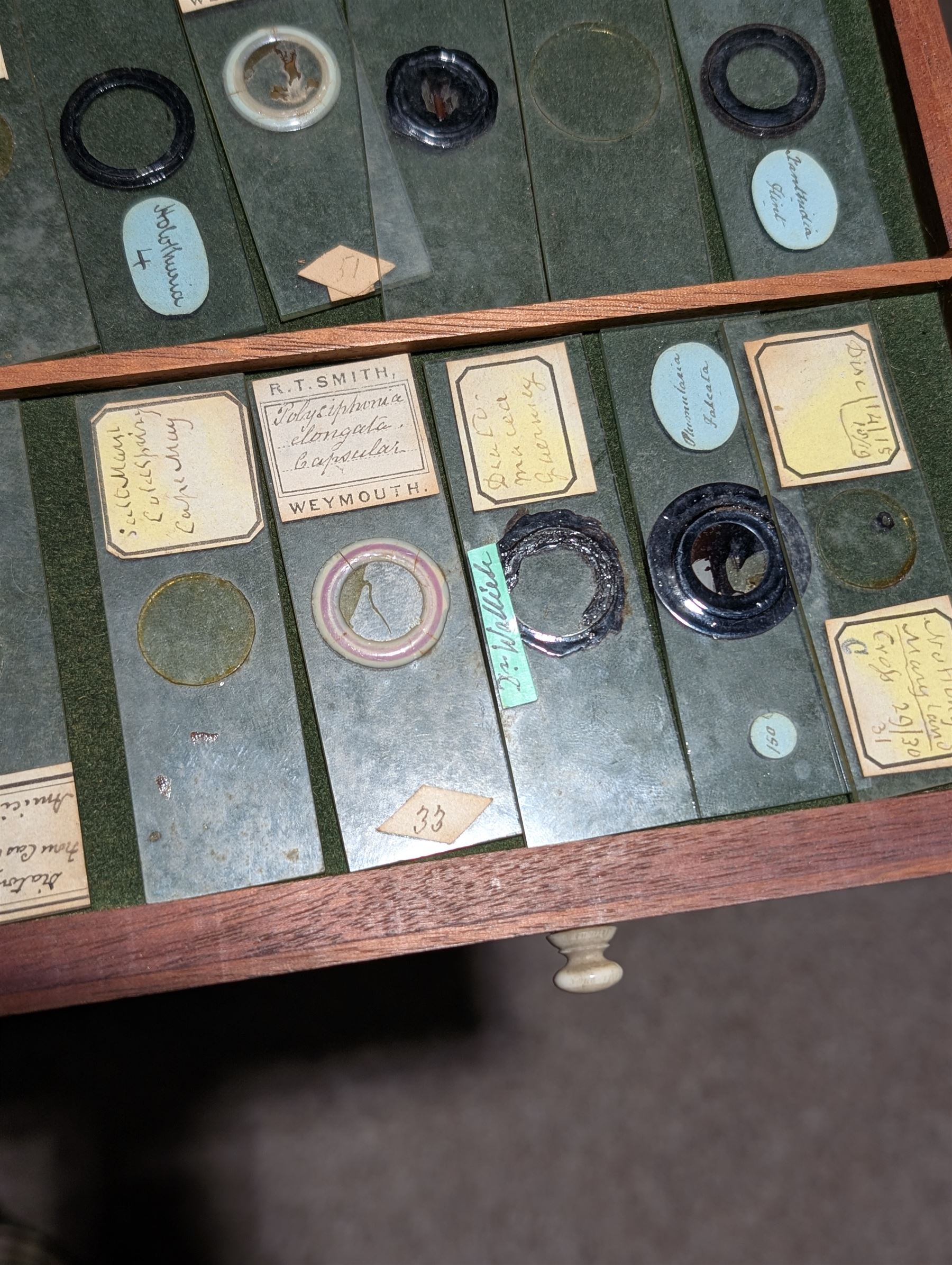 Victorian collector's specimen cabinet, containing a number of prepared microscope slides including miniature photographs, animal and human pathological, physiological and histological specimens and botanical specimens, mostly annotated in ink, the cabinet with glazed door, the drawers with bone handles and lined with green felt, owned by Dr Arthur Bristow, together with a picture of the doctor, cabinet H43cm