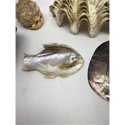 Carved oyster shell depicting tahiti, together with half a clam shell and other shells 