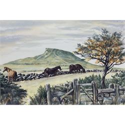 Jonathan R Douglas (Welsh Contemporary): Horses Grazing on a Hilltop, watercolour signed and dated '95, 36cm x 52cm