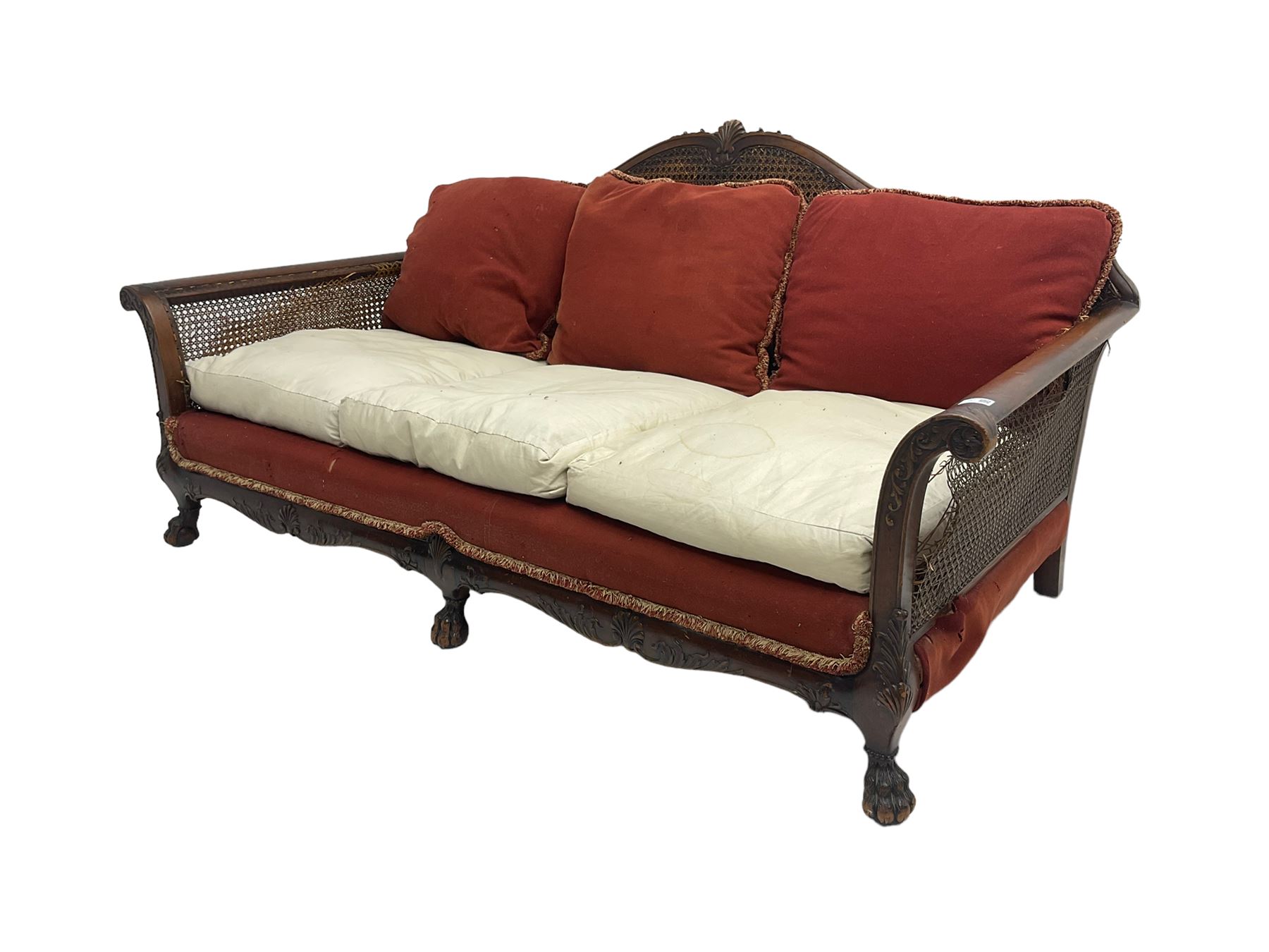 Early 20th century bergère three seat settee, shaped shell carved cresting rail, double caned back and sides, scrolled upright arms and shaped apron carved with shell and foliage, on hairy paw carved feet