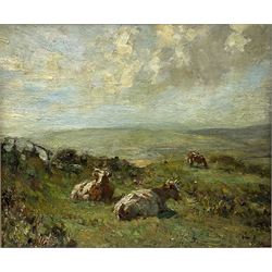 Frederic William Jackson (Staithes Group 1859-1918): Cattle Grazing, oil on board signed with initials 28cm x 34cm 