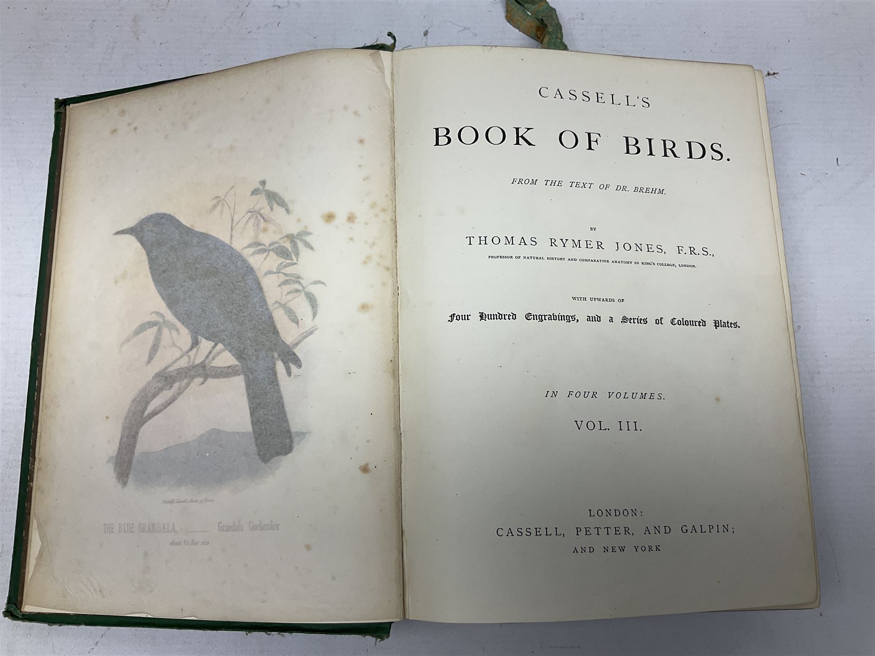 Jones, Thomas Rymer; Cassell's Book of Birds, London, Cassell, Petter & Galpin, volumes I & III, with coloured plates, Hamerton, Peter Gilbert; Landscape, London, Seeley & Co, two copies and The Garden An Illustrated Weekly Journal of Horticulture in all its Branches, London, with coloured plates  