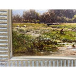 Alfred Walter Williams (British 1824-1905): 'The River Mole near Bletchworth - Surrey', oil on canvas signed with initials and dated 1875, 22cm x 37cm