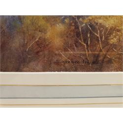 John Spence Ingall (Staithes Group 1850-1936): Treetops in Autumn, watercolour signed 27cm x 39cm