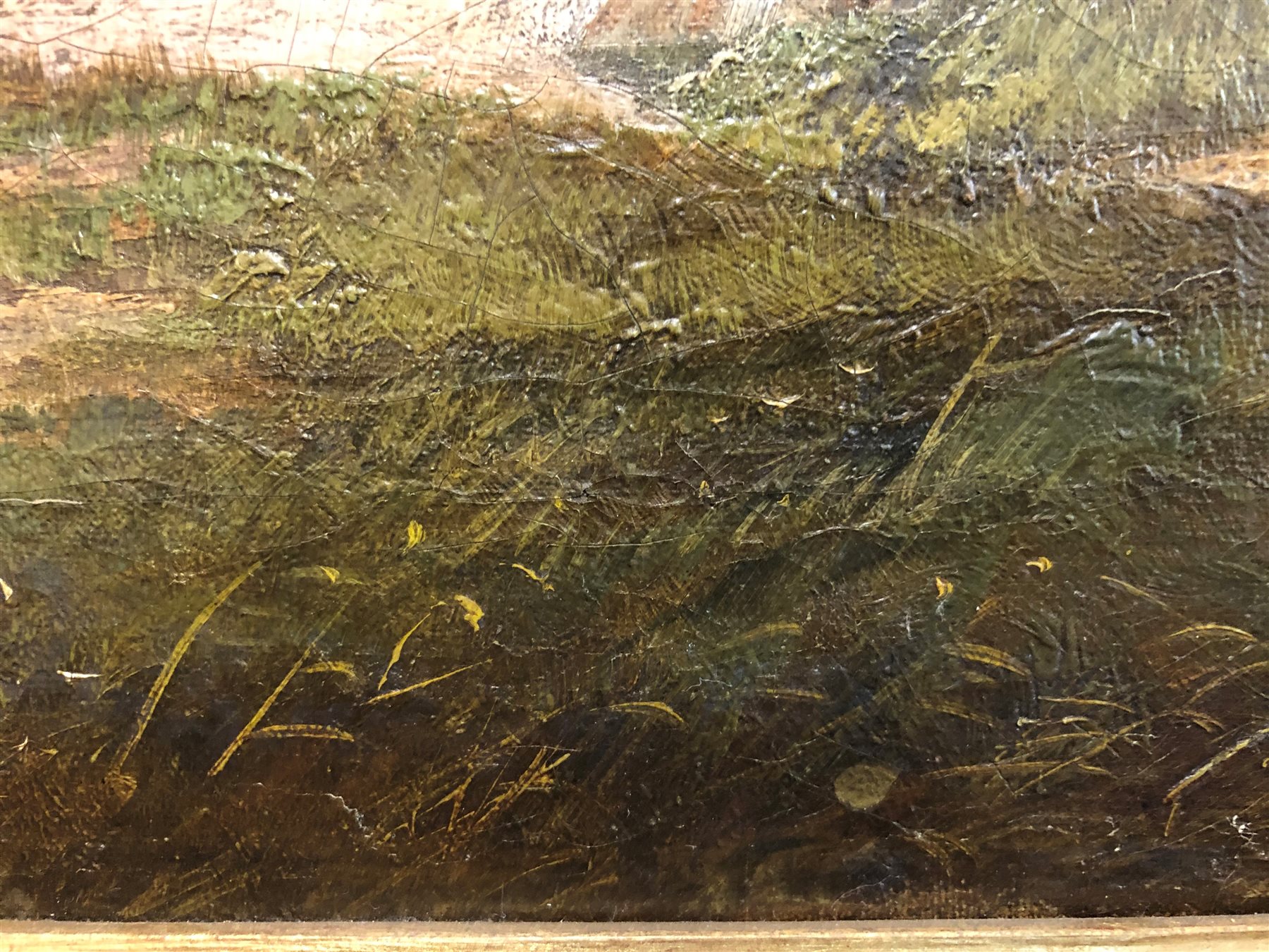 English School (19th century): Portrait of a Whitebred Shorthorn Heifer in Landscape setting, oil on canvas indistinctly signed, 61cm x 75cm
Notes:  the stretcher is inscribed 'J Thomas Ford Esq., Burton Pidsea' (East Yorkshire), there is a listing in Burton Pidsea's history '.....one of the larger houses certainly built on a new site was Bramhill House. Thomas Ford, farmer, mortgaged its site, Bramer Hill close, and other lands in 1844 for £3,000, and the house was evidently built soon afterwards