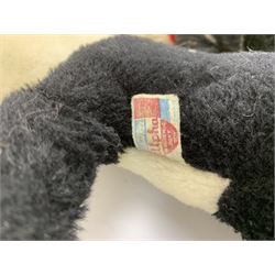 Seven English panda bears c1930s-50s including two Pedigree with plastic dog type noses H11.5