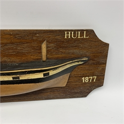 Elm hull only half-block model of the three-masted sailing ship 'David' from Hull under the command of Capt. Amos with black and white painted gunports, on mahogany finish backboard dated 1877 L68cm