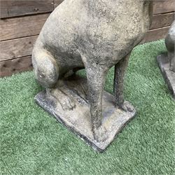 Pair of cast stone garden seated hunting dogs on rectangular plinths