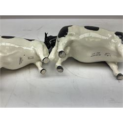 Seven Beswick cow figures, to include Friesian bull Ch. ''Coddington Hilt Bar'' no. 1439a, Friesian cow Ch. 'Claybury Leegwater' no. 1362a and Friesian calf no. 1249C, Aberdeen Angus calf 1827a, Jersey cow no. 1345 etc, all with printed mark beneath  