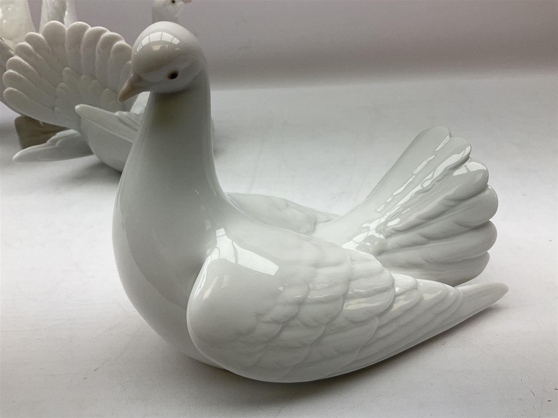 Four Lladro dove figures, comprising Taking Flight no 6288, Dove no 1015, Proud Dove no 6290 and Peaceful Dove no 6289, all with original boxes, largest example H20.5cm 