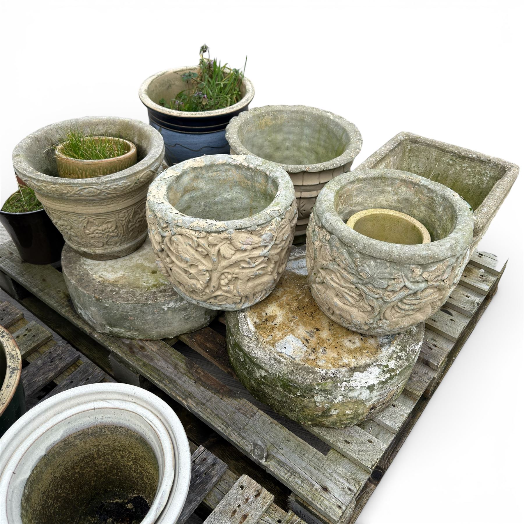 Large collection of plant pots (24)